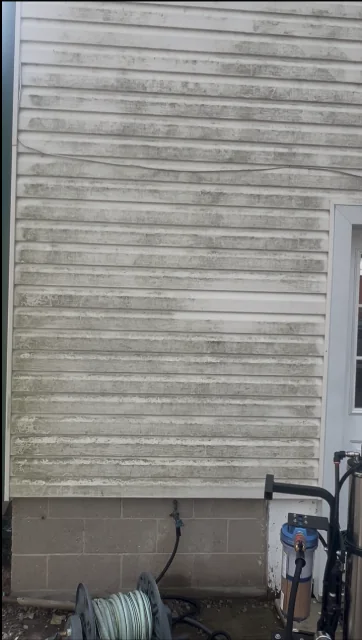 Siding with organic buildup before soft washing