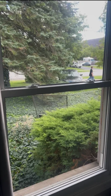 The same window glass after professional cleaning